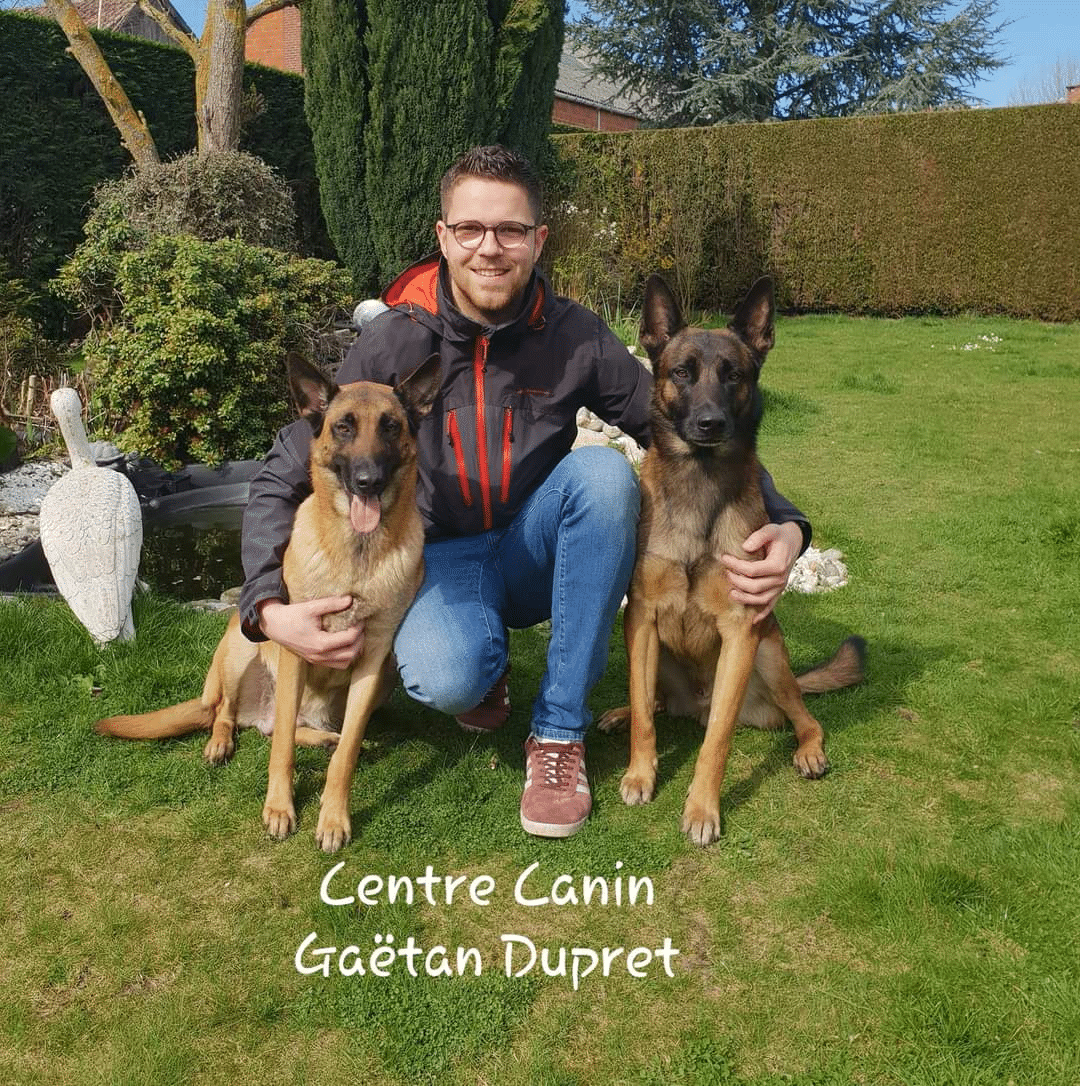 Portrait de Gaëtan, éducateur canin comportementaliste Pédadog