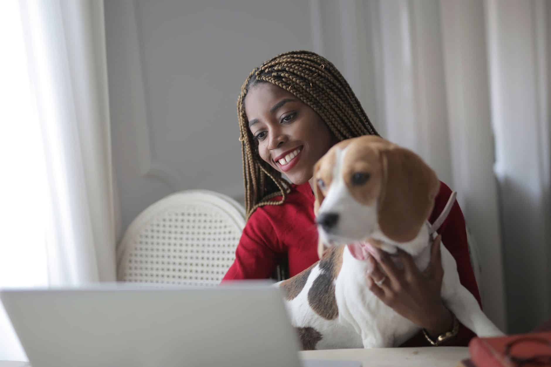 Un maître revoit une vidéo du programme Chien stable et pratique un exercice avec son chien dans le salon