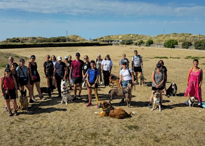 Le groupe de participants et leurs chiens réunis en plein air lors d'un stage Pédadog sur la Côte d'Opale