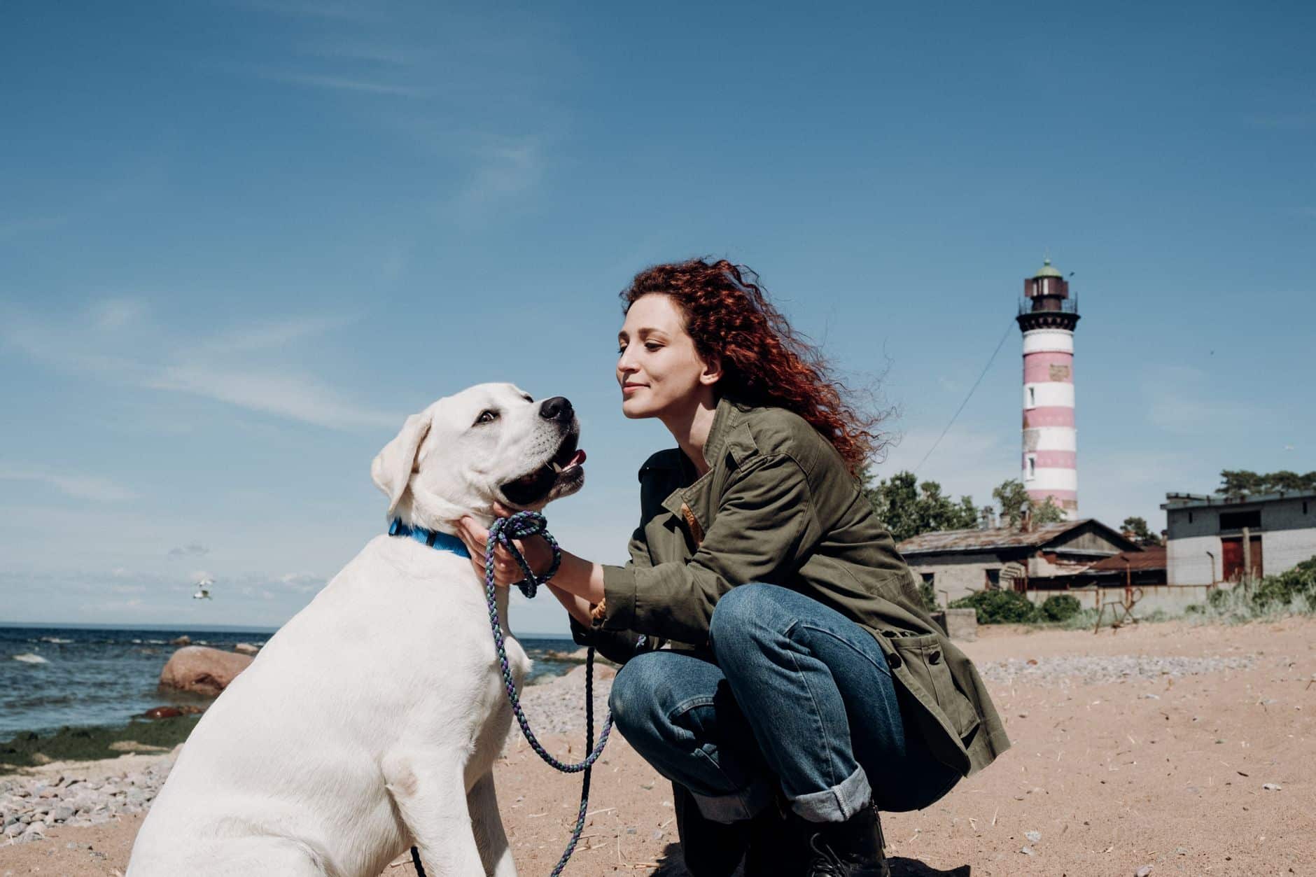 L'équipe Pédadog en balade avec des chiens