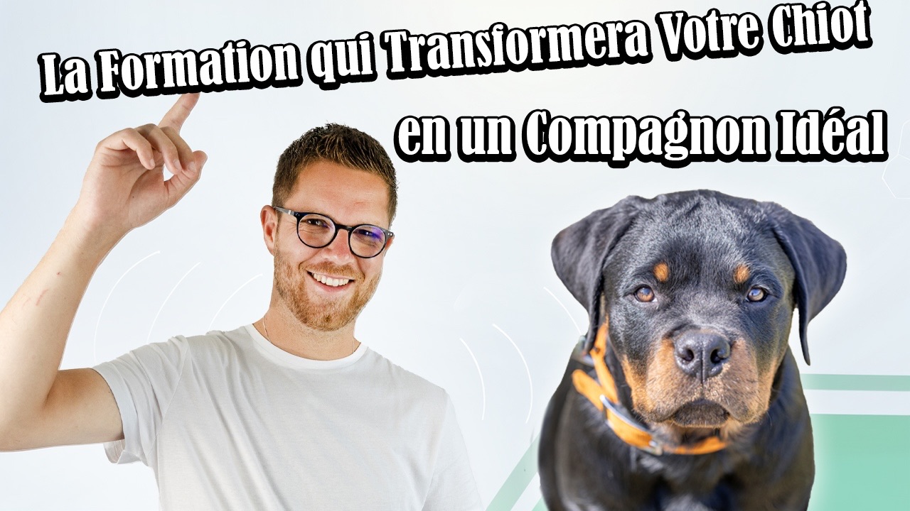 formaok formation-education-canine-centre-gaetant-dupret