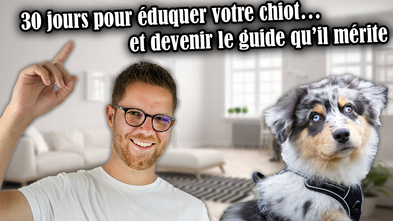 formation-education-canine-centre-gaetant-dupret