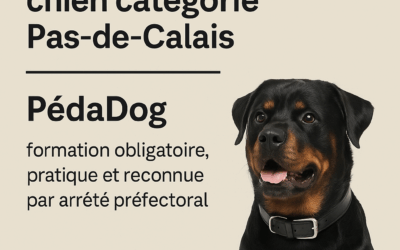 🐾 Formation attestation d’aptitude chiens de catégorie Pas-de-Calais – 11 octobre à Guînes