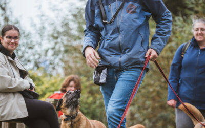 🐾 Éducateur canin – L’accompagnement professionnel pour votre chien dans le Pas-de-Calais