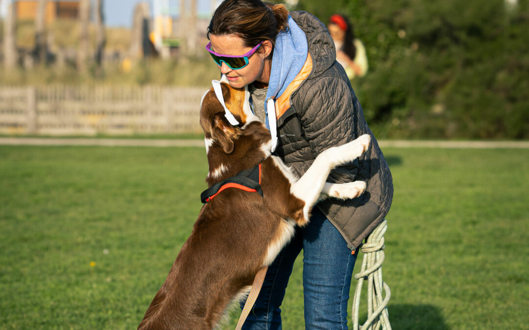 🐾 Mon chien saute sur les gens : comprendre, calmer et rééduquer