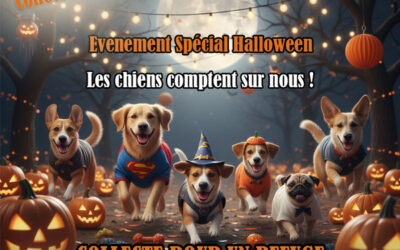 🎃🐾 Événement Spécial Halloween au profit de la LPA – Caniland & PédaDog Calais 🐾🎃