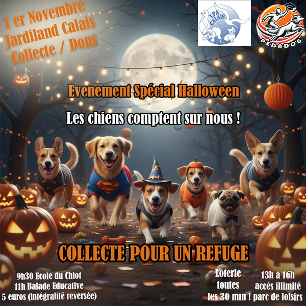 🎃🐾 Événement Spécial Halloween au profit de la LPA – Caniland & PédaDog Calais 🐾🎃