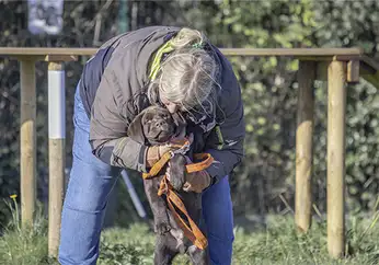 1764008614644-8 Ecole du chiot Centre Canin Gaëtan Dupret à Audrehem, Saint-Omer, Calais, Lille, Boulogne-sur-Mer, Dunkerque, Gravelines, Marck, Grande Synthe