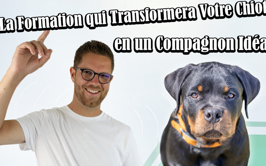 🐶 Formation en ligne éducation chiot, 30 jours pour un chiot serein et bien élevé