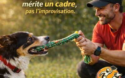 Et si le plus grand danger pour les chiens ne venait pas d’eux, mais de ceux censés les éduquer.